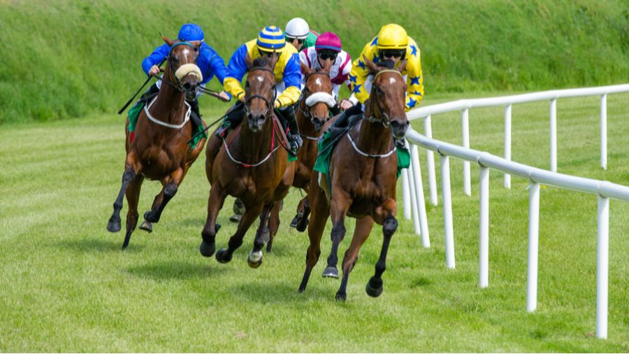 The Runners And Riders For The Irish Gold Cup Are In - partycasino