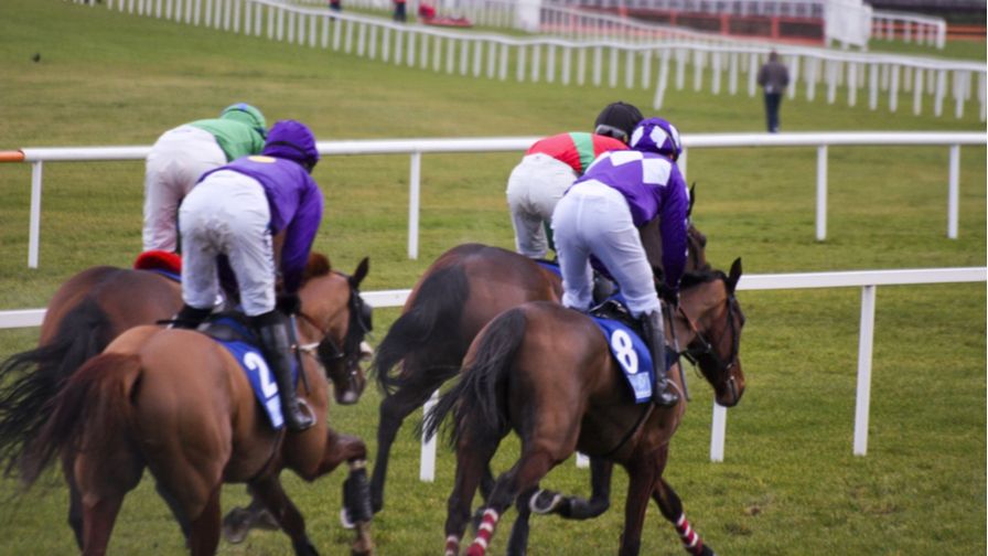The Runners And Riders For The Irish Gold Cup Are in - partycasino